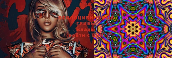 амф Алексин
