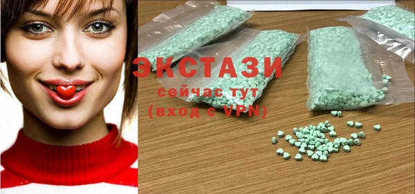 индика Елабуга