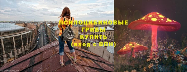 амф Алексин