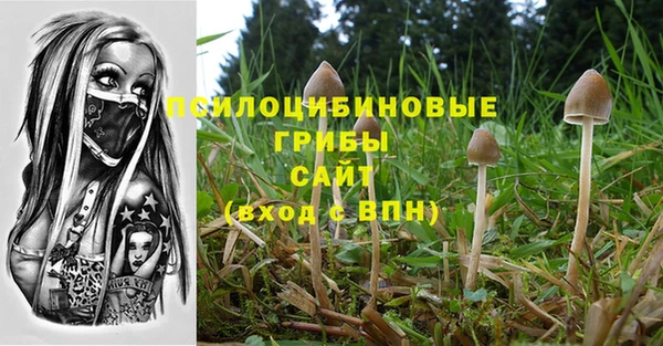амф Алексин