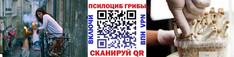 кракен рабочий сайт  Арамиль  Псилоцибиновые грибы Cubensis 